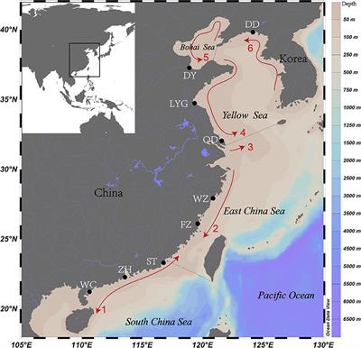 An Integrated Approach to Determine the Stock Structure of Spinyhead Croaker Collichthys lucidus (Sciaenidae) in Chinese Coastal Waters